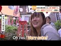 地域ネコ100匹の街　マナー違反の「エサやり」も　保護猫活動の課題と“誇り”【特集】