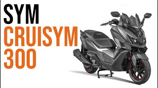 SYM CRUiSYM 300i - EasyBlock Motorcycle Wheel  Lock