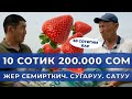 Ноокендик Икрам БИР айда 600.000 сом ТАБАТ!😲 Видеону БӨЛҮШҮП КОЮҢУЗ! #клубникакулпунайкыргызстан