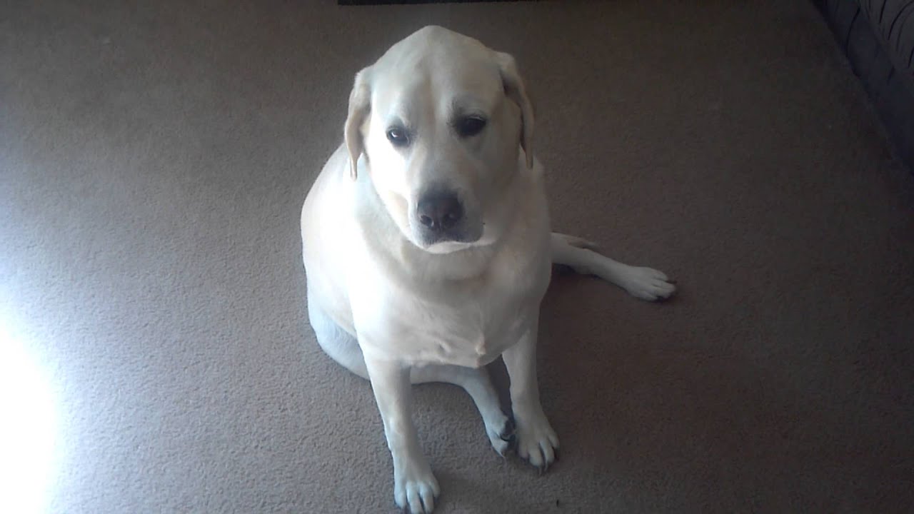 How To Promote Your Business - The Hartman Way