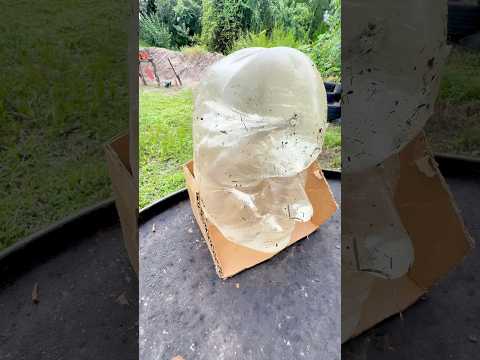 R.I.P. ammo ballistic testing