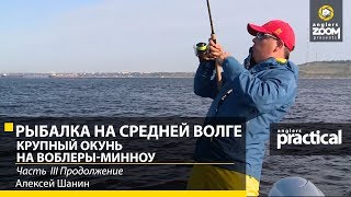 видео: Рыбалка на Средней Волге. Крупный окунь на воблеры-минноу. Алексей Шанин. Часть 3. Anglers Practical картинка: Рыбалка на Средней Волге. Крупный окунь на воблеры-минноу. Алексей Шанин. Часть 3. Anglers Practical