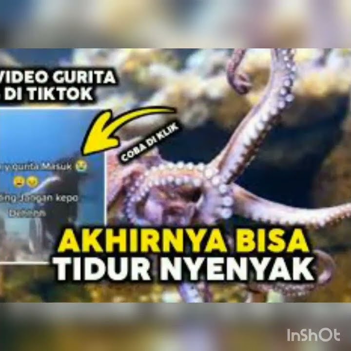 Gurita Viral Video die TikTok||gurita  Masuk viral ||tiktok full video