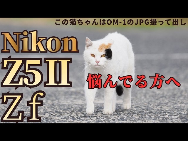 Nikon Z5Ⅱと Zf どちらを買うべきか 悩んでいる方へ カメラ小僧の意見