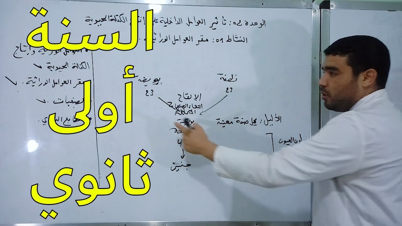 النشاط 28: مقر العوامل الوراثية (الطابع النووي [الجزء الثاني])