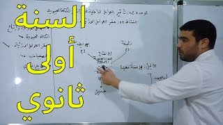 النشاط 28: مقر العوامل الوراثية (الطابع النووي [الجزء الثاني])