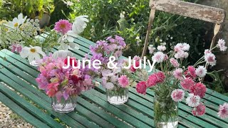 June and July - the cottage garden, sweet peas and ceramics 