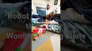 Robot vs Dachshund #shorts
