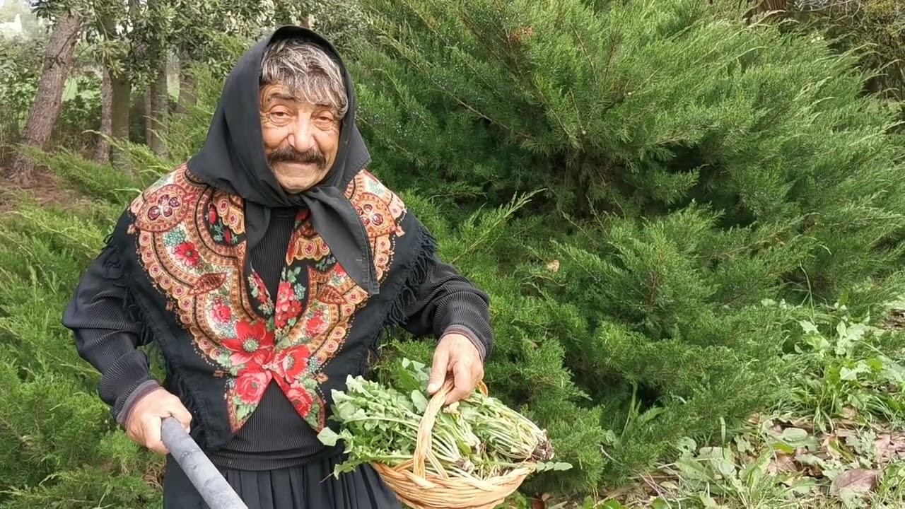 Questa pianta portentosa cresce dappertutto, ma in pochi ci fanno caso 🧐