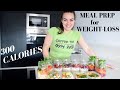 Meal Prep for Weight Loss - less than 300 calories per serving