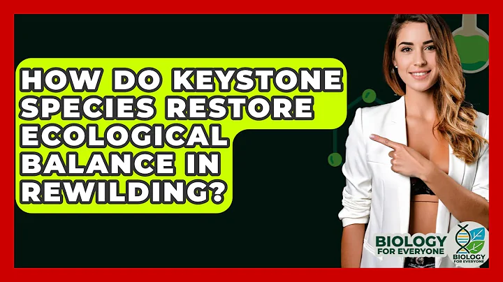 How Do Keystone Species Restore Ecological Balance In Rewilding? - Biology For Everyone