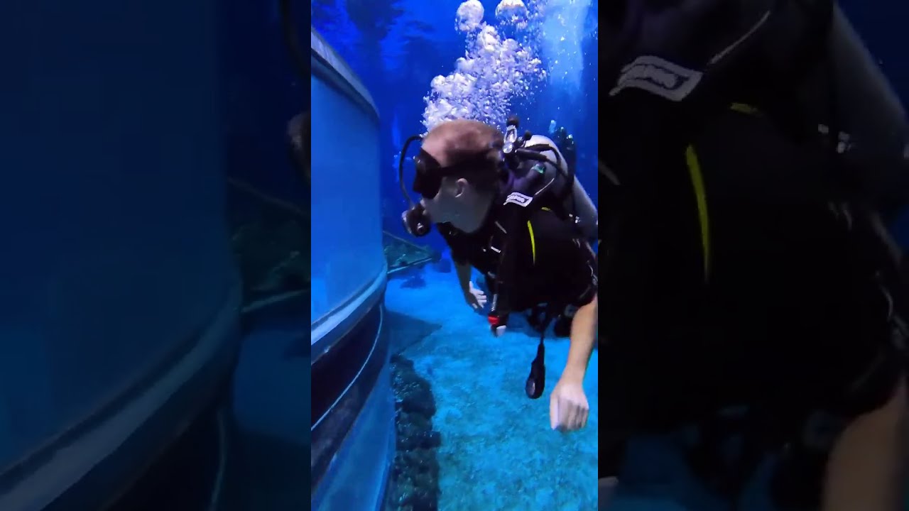 Come with us to scuba dive at EPCOT! 🐠 Disney DisneyParks 