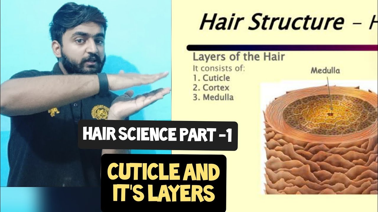 Hair structure Explain in easy way Hair shaft cuticle and its layers| step  by step in हिंदी में - YouTube