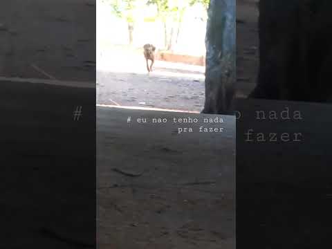 Vamos Q Vamos Bill Meme 