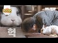 그날의 사건을 보고 부처가 되기로 한 토끼ㅣRabbit To Become Buddha As She Witnessed Her Family's Death