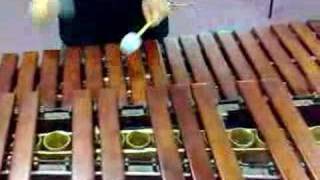 flight of the bumblebee(marimba)