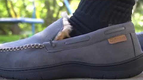 All the best quality Zigzagger Men's Moccasin Slippers are the most comfortable slippers.