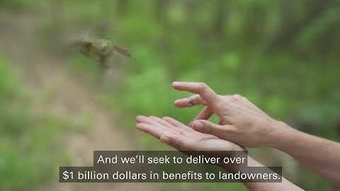 bp ventures and Finite Carbon short