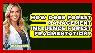 How Does Forest Management Influence Forest Fragmentation? - Earth Science Answers