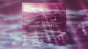 David Fischbein - Let Her Go