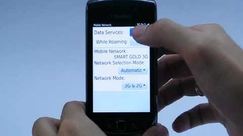 BlackBerry Torch 9800: Turn off / on data services