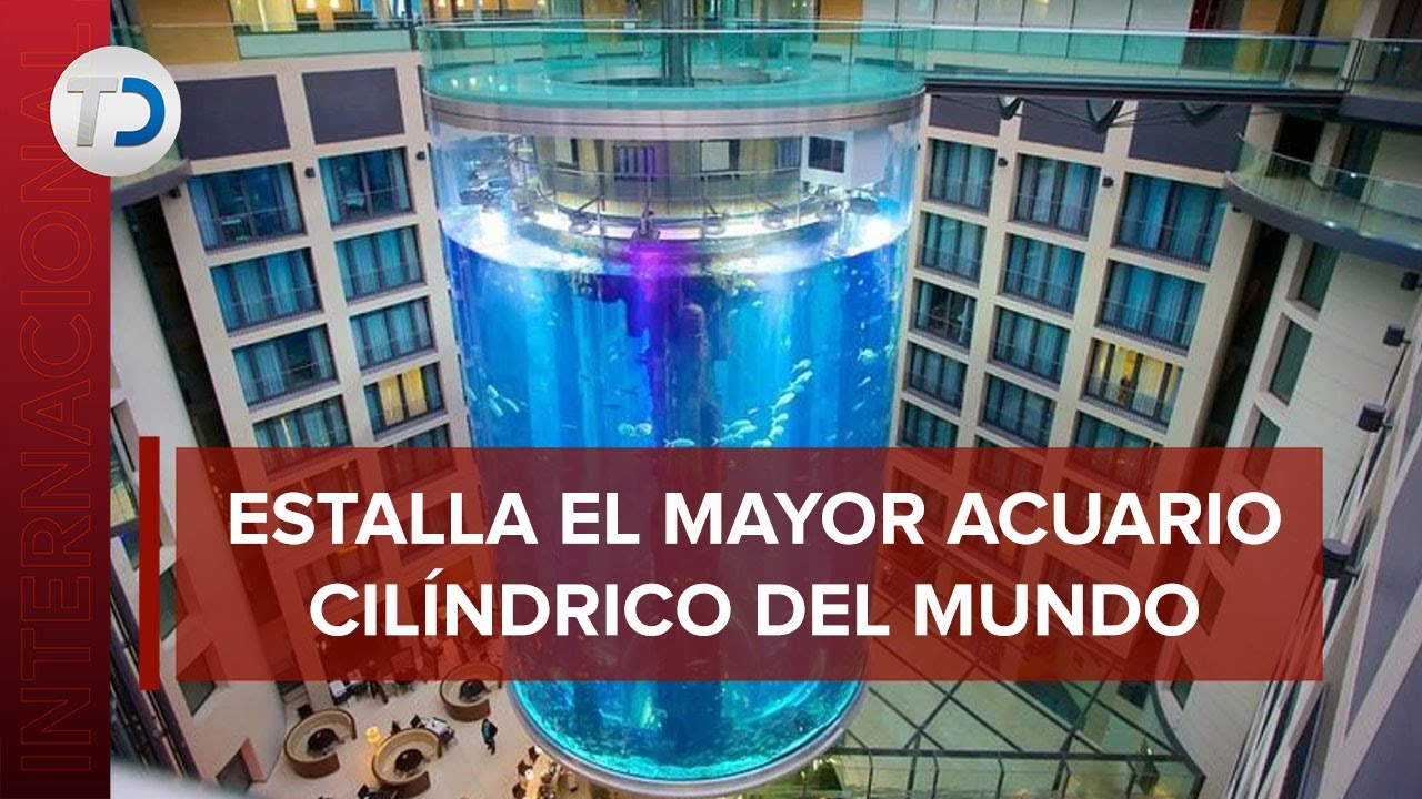 Estalla el acuario cilíndrico más grande del mundo en Berlín; albergaba ...