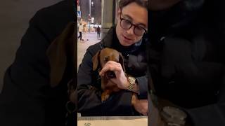 The Dachshund And Dad Make The Perfect Team