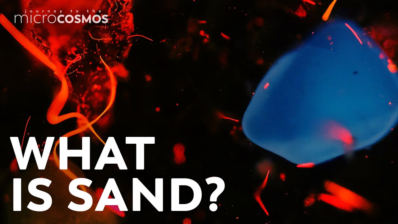 Sand Is Full of Life and Death