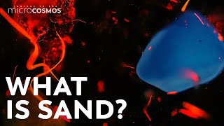 Sand Is Full of Life and Death