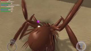 Spider Simulator!! screenshot 4