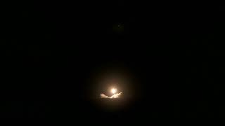 Mission Spotlight: Electron 93rd Launch by Rocket Lab