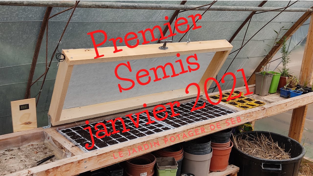 PREMIER SEMIS JANVIER 2021