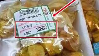 KHASIAT BUAH LETUP-LETUP