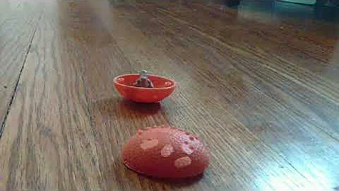 attack of the shell