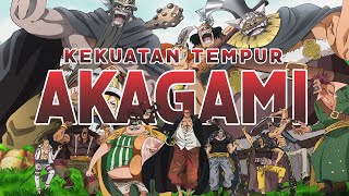 KEKUATAN TEMPUR BAJAK LAUT AKAGAMI NO SHANKS DI ONE PIECE