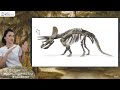 По следам доисторических животных