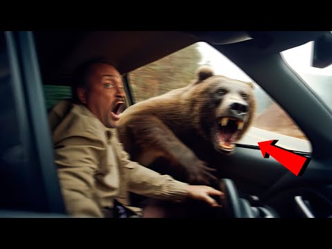He Shouldn't Have Gotten Out of the Car... Horrible Bear Footage Caught on Camera!