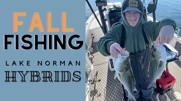 Lake Norman Fishing for Hybrid Striped Bass in the Fall (A-Rigs, Umbrella Rigs and Planer Boards)
