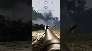 Accidental kill #verdun
