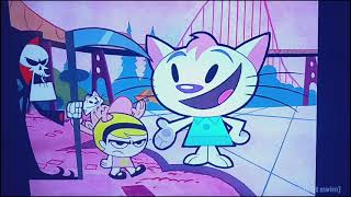 The land of Sassy Cat