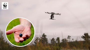 How Tree Planting Drones Work | WWF-Australia