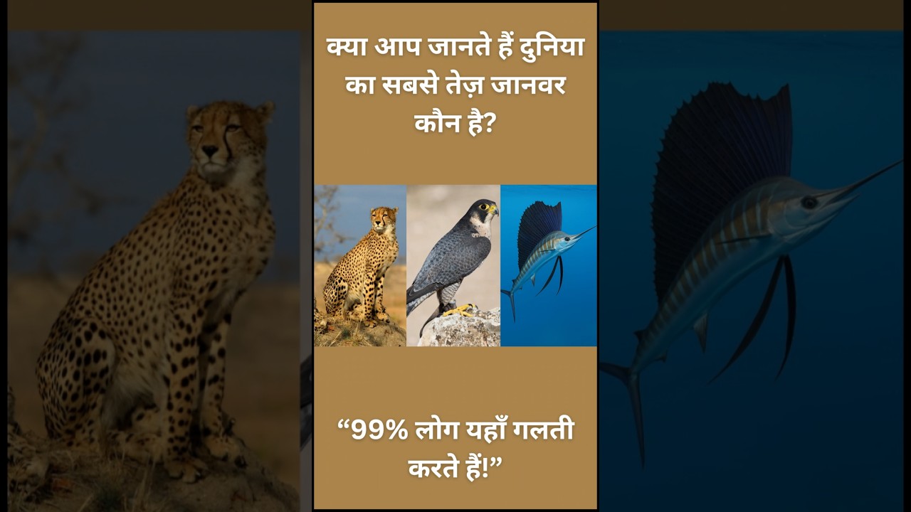 🏃‍♂️ 110 km/h की रफ्तार! दुनिया का सबसे तेज़ जानवर! 