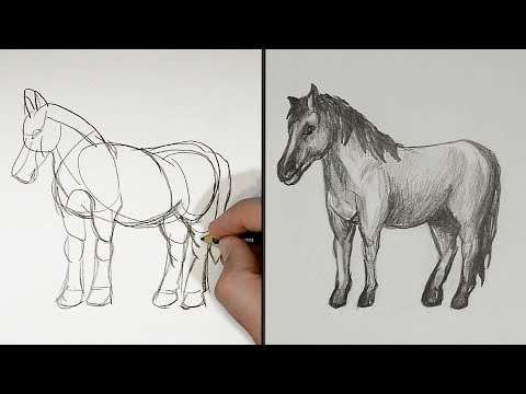 Как нарисовать лошадь Поэтапный Рисунок за 5 минут