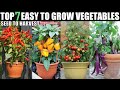 7 vegetables that are too easy to grow  seed to harvest