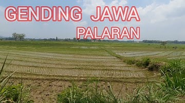 GENDING JAWA PALARAN - GENDING JAWA KLASIK  GAYENG TOMBO KANGEN KAMPUNG - UYON UYON  GENDING JAWA