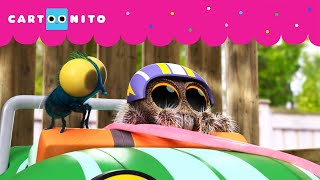 O Grande Pulo Lucas, A Aranha