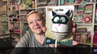 November 2018 Walk In The Woods