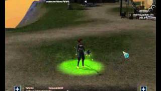 Archer Assassin New Buff Skill