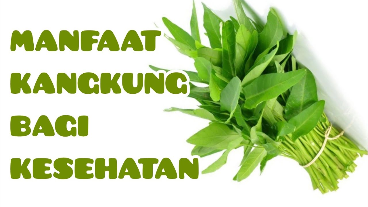 MANFAAT KANGKUNG BAGI KESEHATAN || WATER SPINACH BENEFITS FOR HEALTH