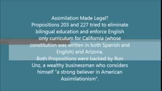 Multiculturalism: Soup or Salad?